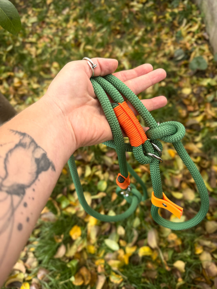 The Halloween Dog Sets: collar and leash