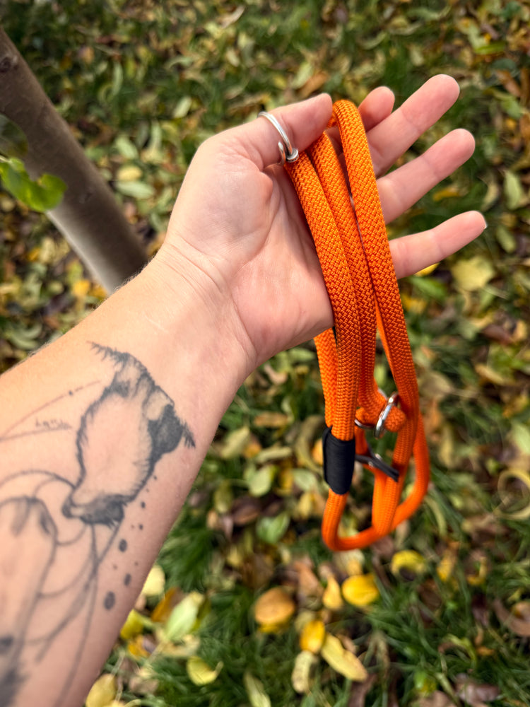Pumpkin Orange Simple Slip Leash