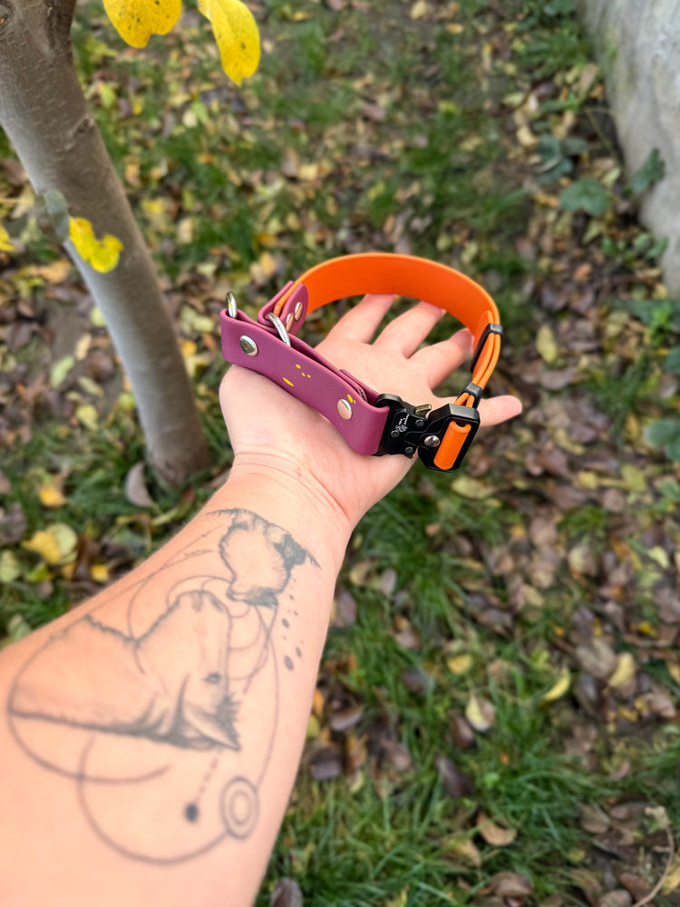 Quick Biothane slip-on collar with Cobra buckle