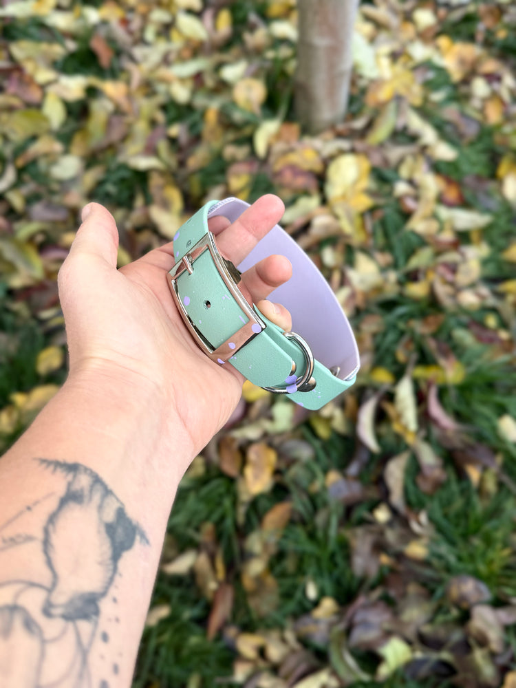 Full Bicolor Biothane Dog collar