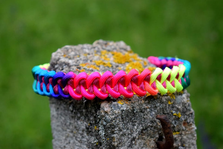 Manta rey S dog collar