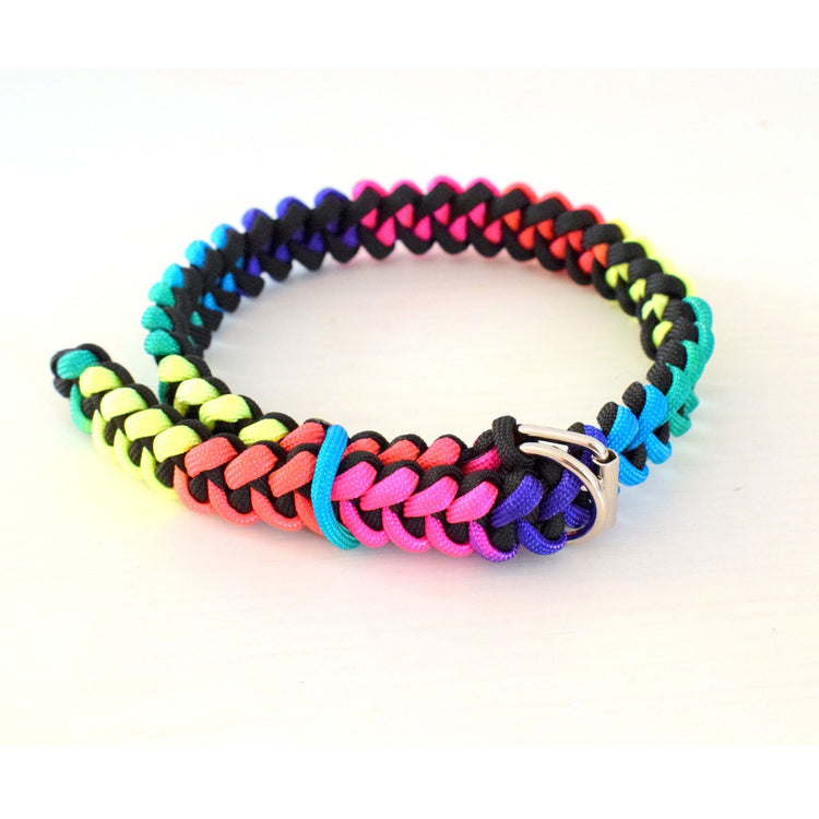 Disco Dog set: collar and leash