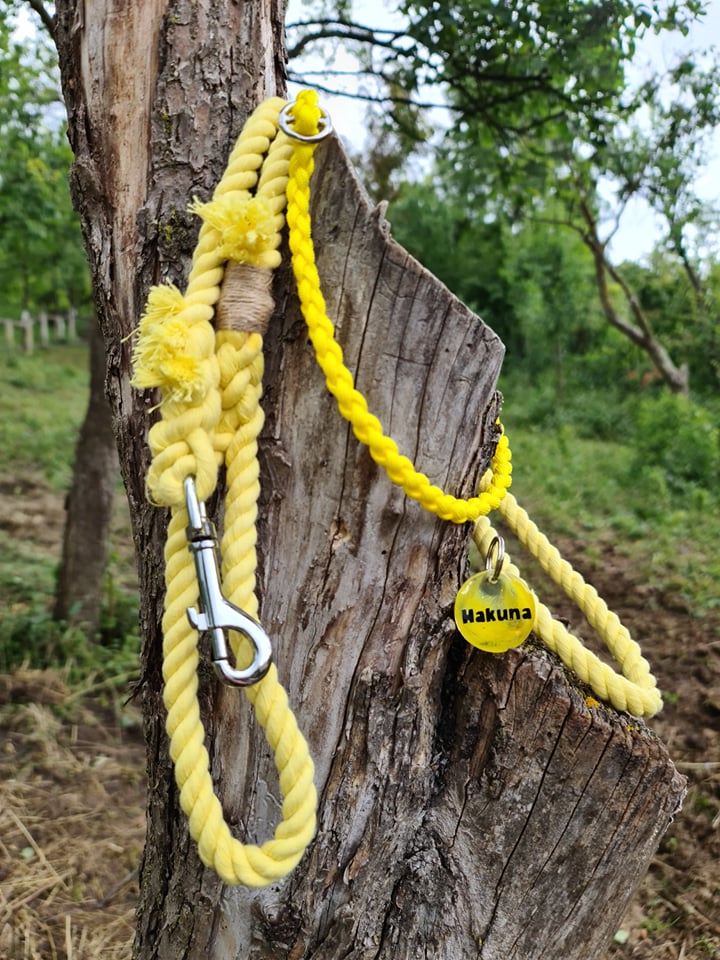 Hundeleine aus Baumwollseil | Handgefertigte Accessoires