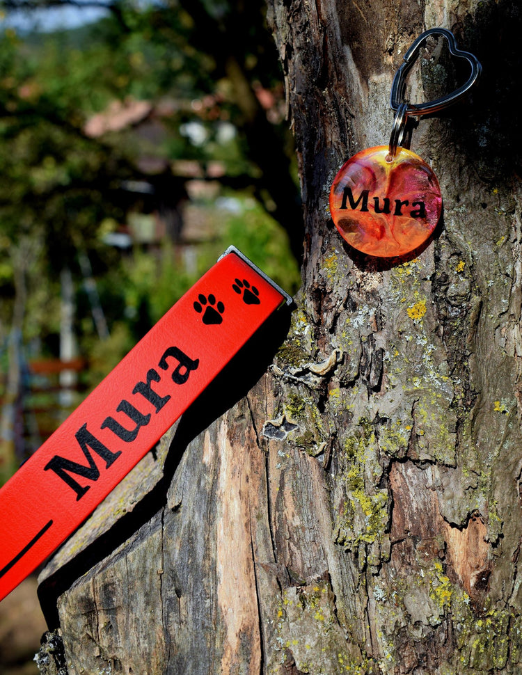 Benutzerdefinierter Para-Tag für Hunde