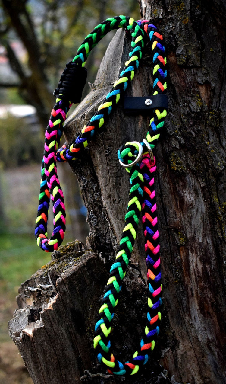 Simple Rainbow Dog Loop Leash