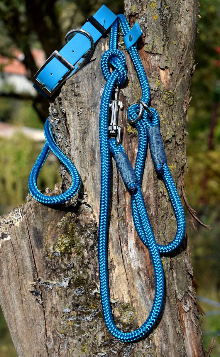 Aqua Dog Set: collar and leash