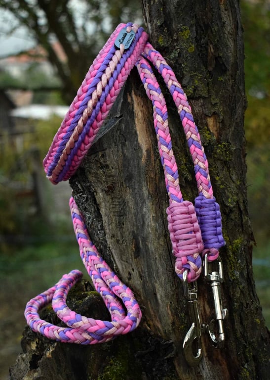 Verstellbare Hundeleine in Schwarz und Regenbogen