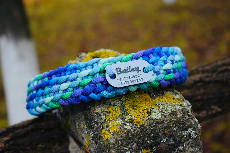 Mermaid Dog set: collar and leash