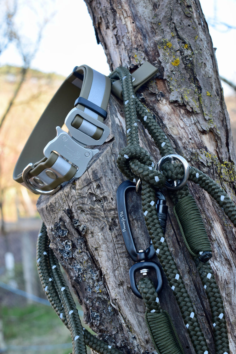 Reflective Dog Set: collar and leash