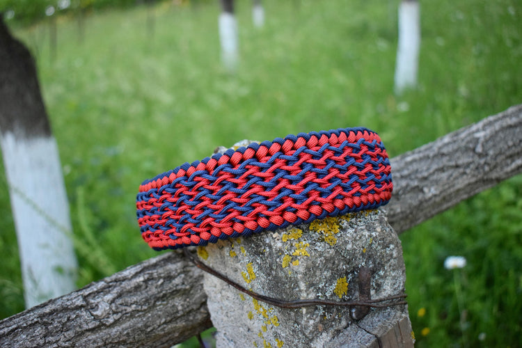 Capitan Dog set: collar and leash