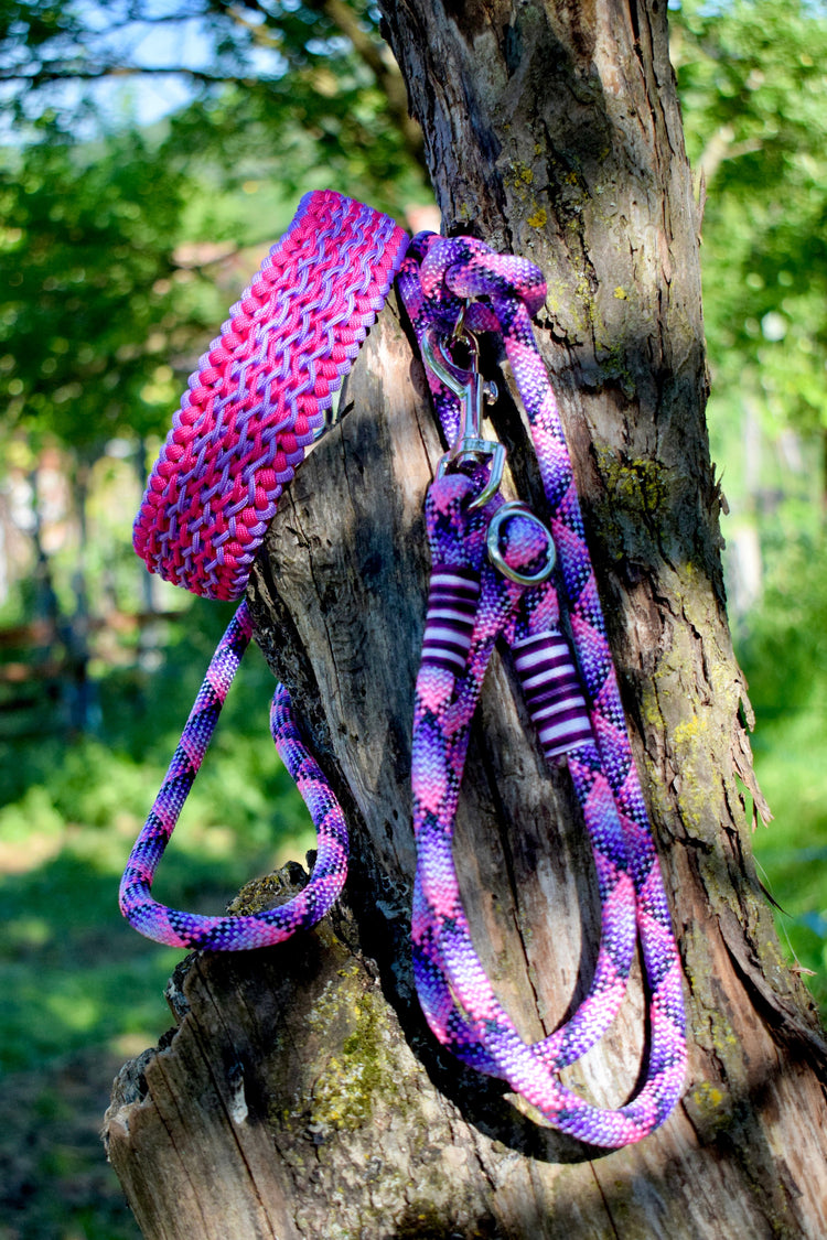 Ursula Dog set: collar and leash