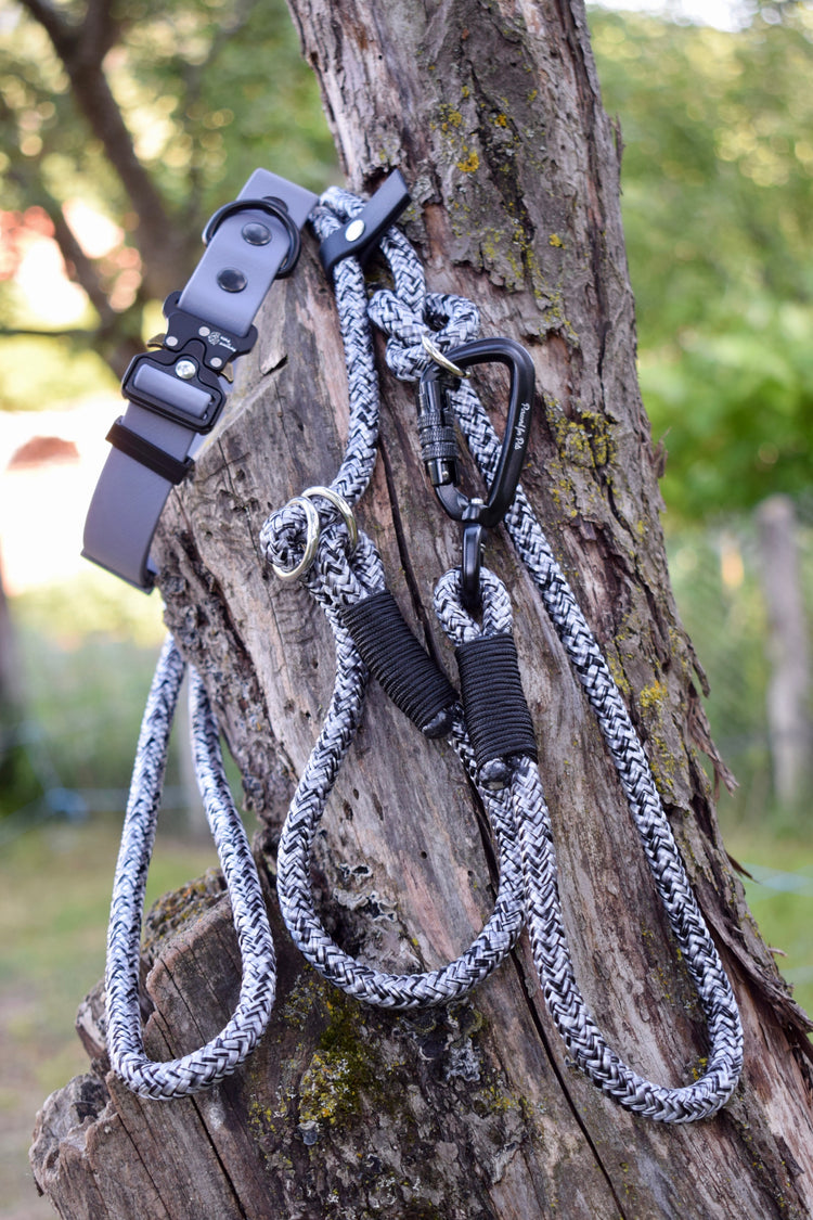 Noise Dog Loop Leash