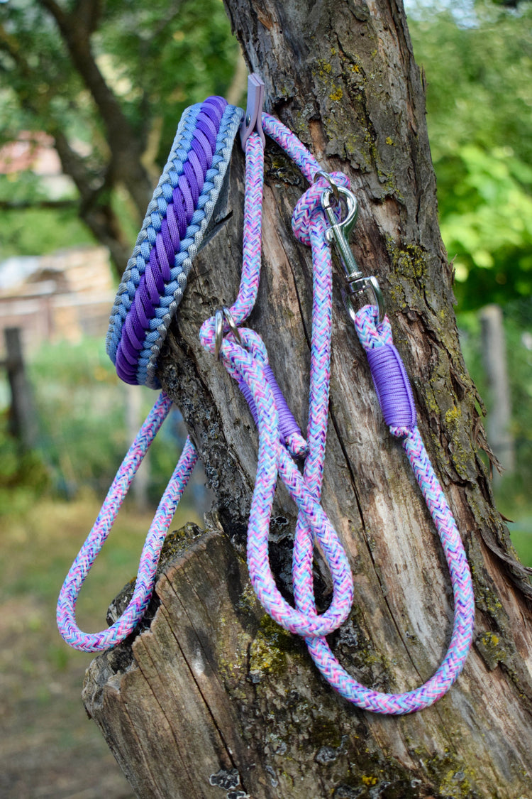 Pony Caramel Dog set: collar and leash