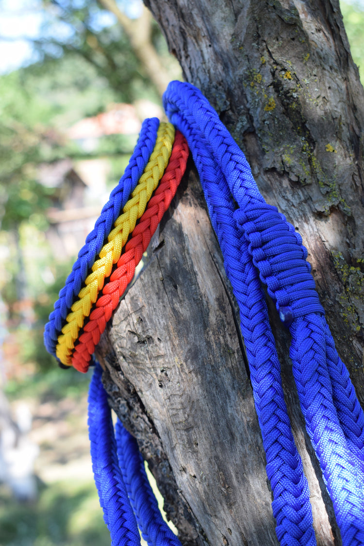 Tricolor Dog set: collar and leash