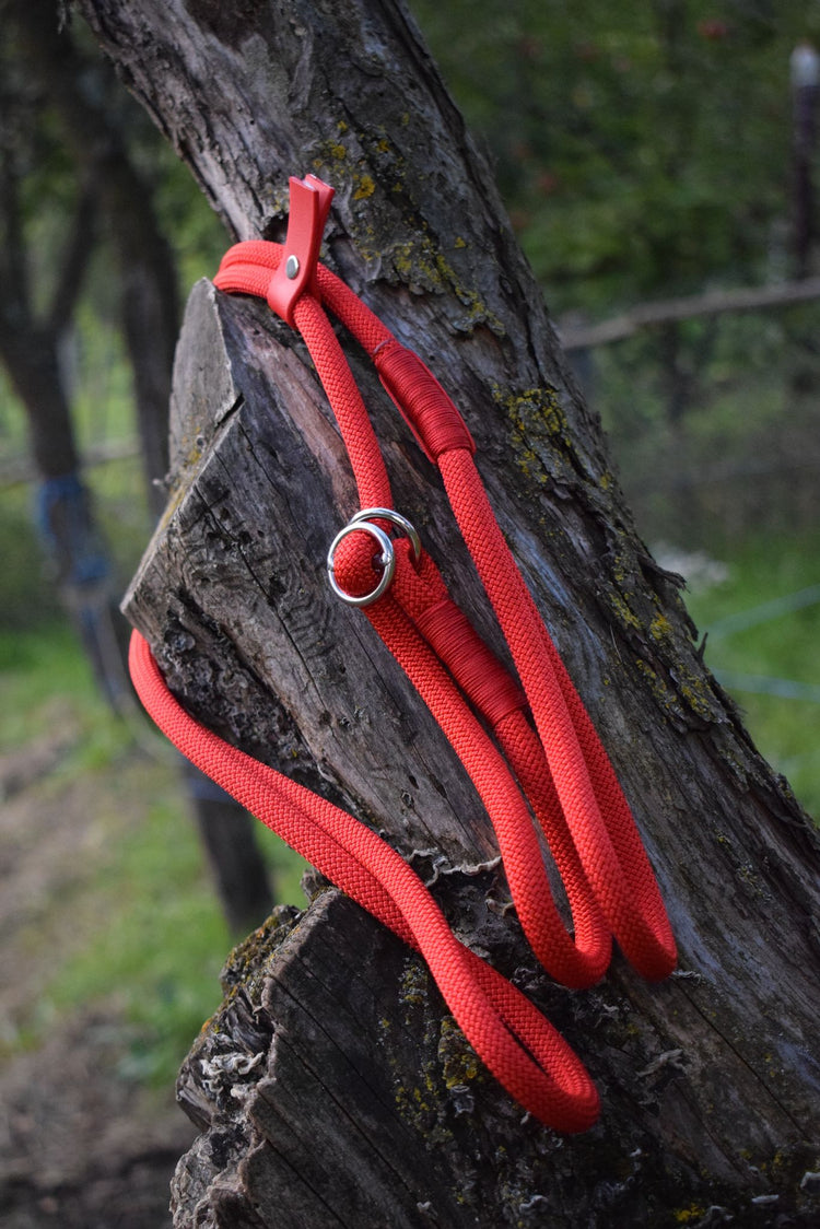 Red Simple Slip Leash