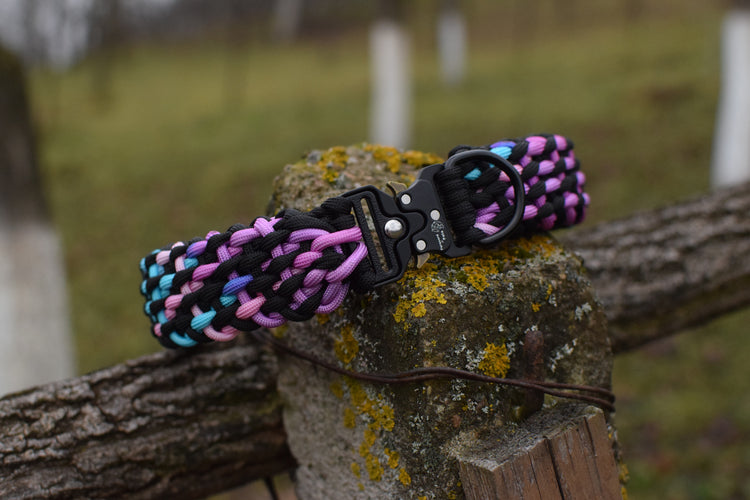 Ariel Dog set: collar and leash