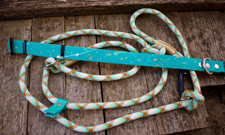 Iceland SPLASH Dog Set: collar and leash