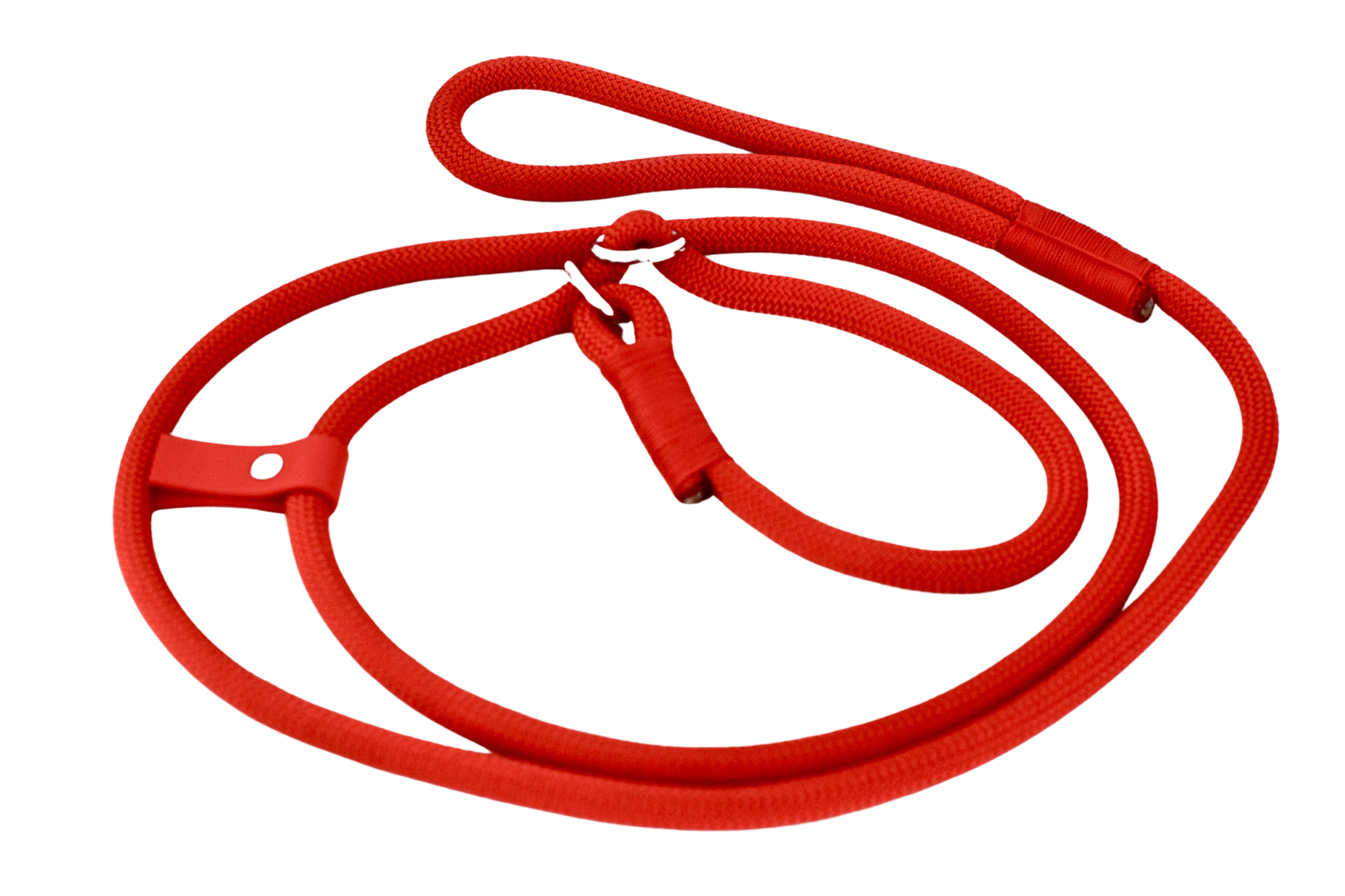 Aqua Dog Loop Leash Handmade Accessories Paracord for Pets