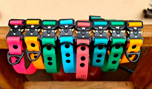 How to choose the perfect collar closing for you adventures ?