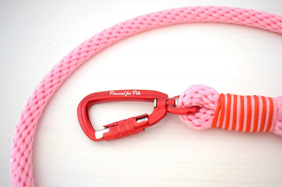 What's the perfect leash material for your dog - paracord for pets