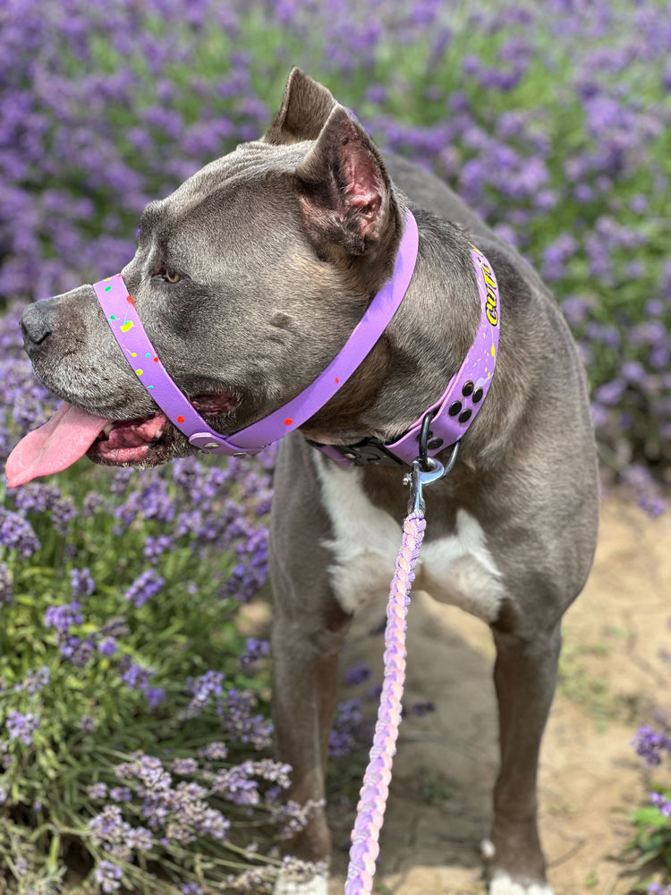 Other Biothane products