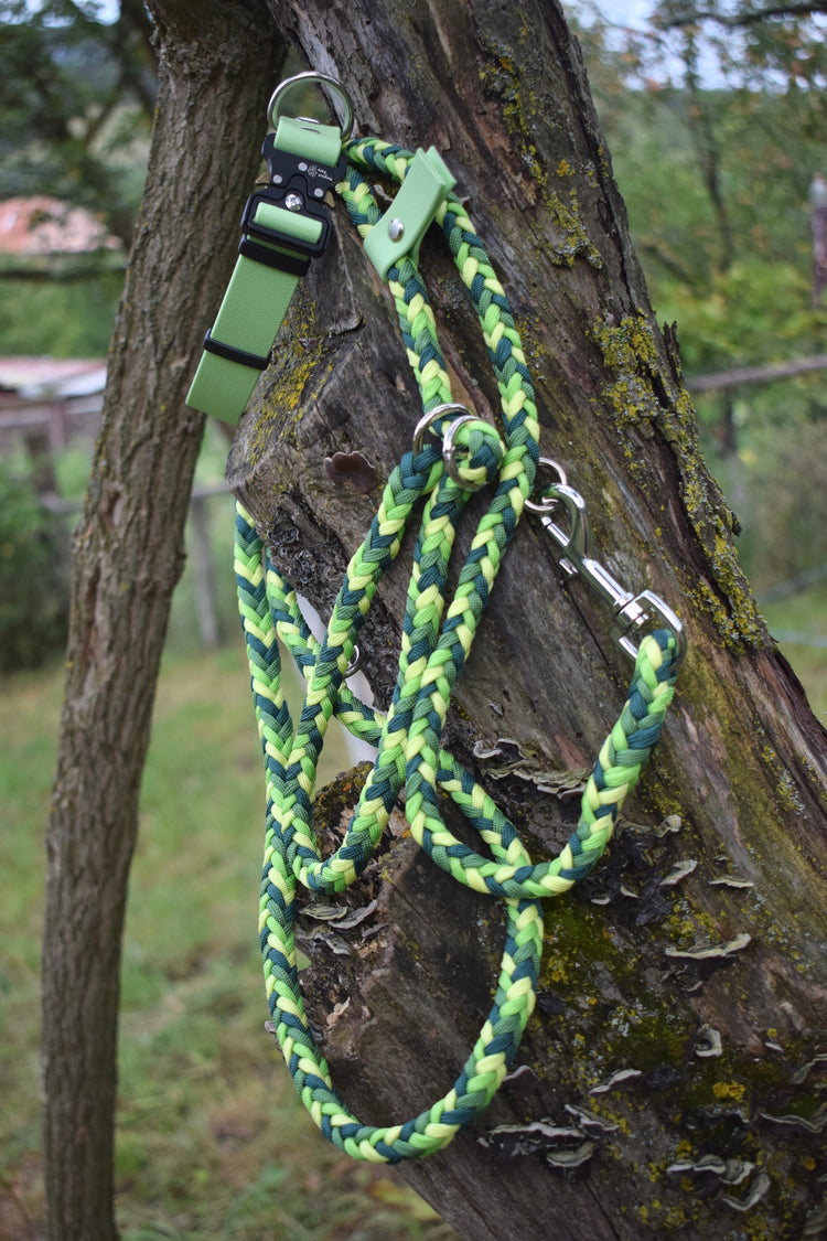 Green Mix Dog set: collar and leash