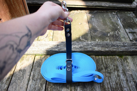 Long Leash Holder + Traffic Handle