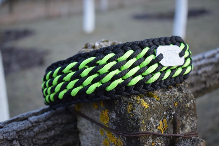 Candy - Black and Green - Dog set: collar and leash