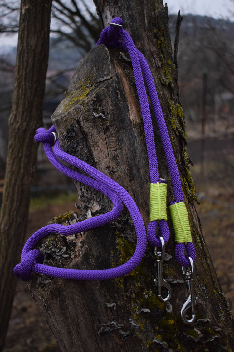 Adjustable Acid Purple Dog Leash