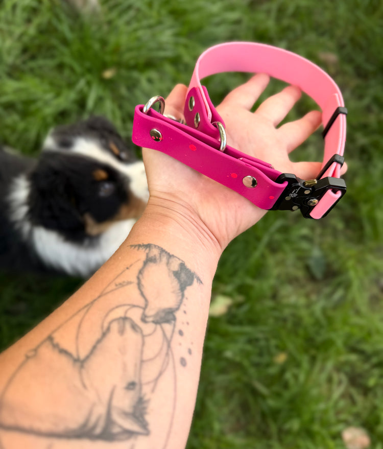 Quick Biothane slip-on collar with Cobra buckle