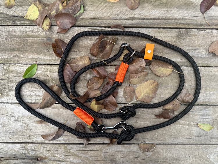 The Halloween Dog Sets: collar and leash