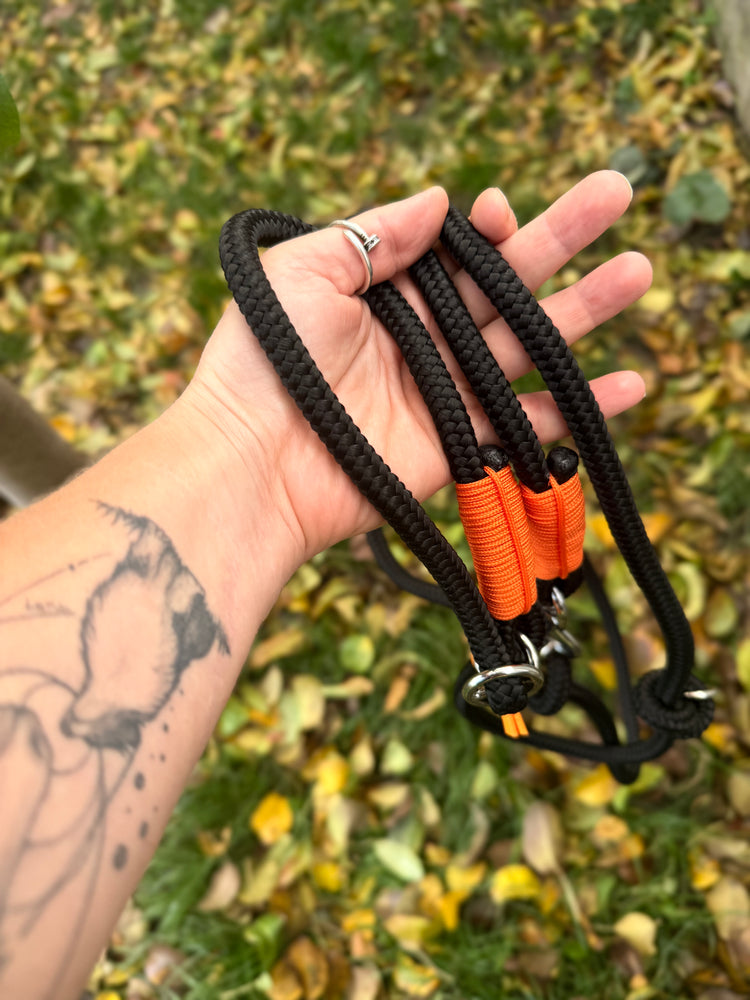 The Halloween Dog Sets: collar and leash