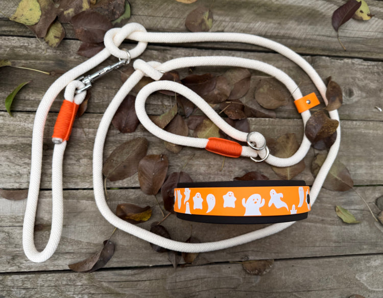 The Halloween Dog Sets: collar and leash