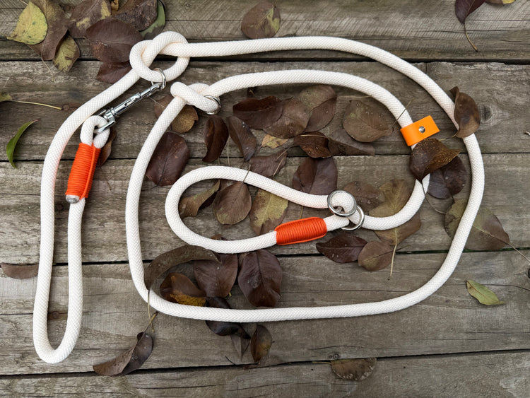 The Halloween Dog Sets: collar and leash