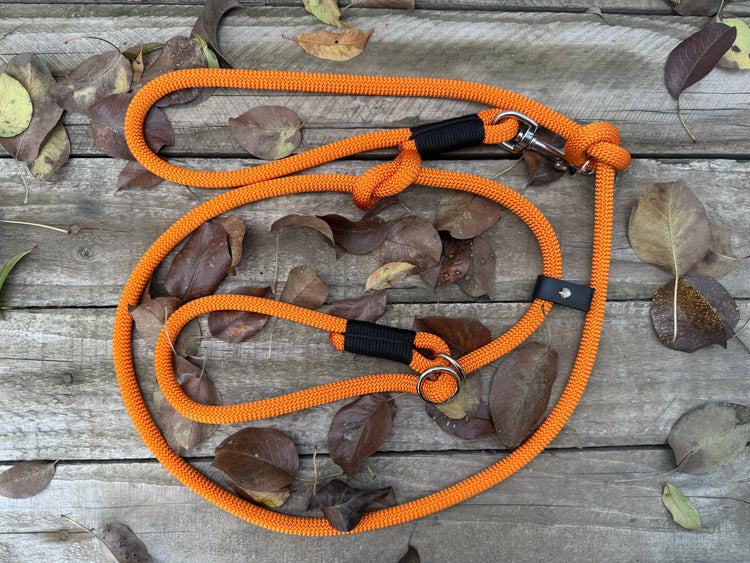 The Halloween Dog Sets: collar and leash