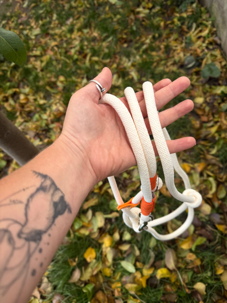 The Halloween Dog Sets: collar and leash