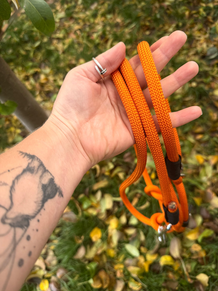 The Halloween Dog Sets: collar and leash