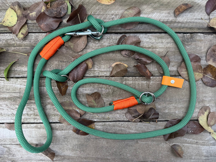 The Halloween Dog Sets: collar and leash