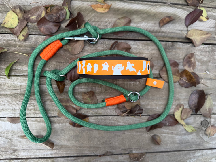 The Halloween Dog Sets: collar and leash