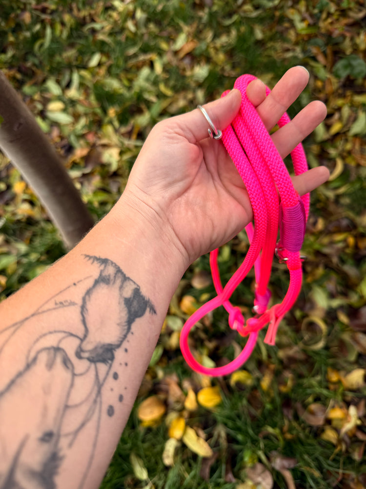 Neon Pink Dog Loop Leash