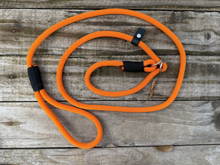 Pumpkin Orange Simple Slip Leash