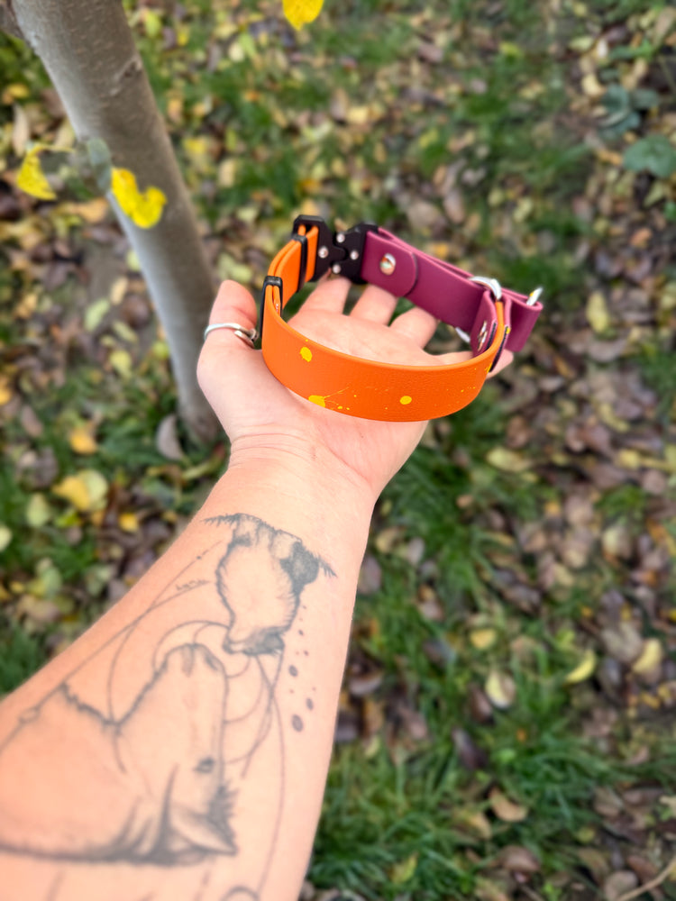 Quick Biothane slip-on collar with Cobra buckle