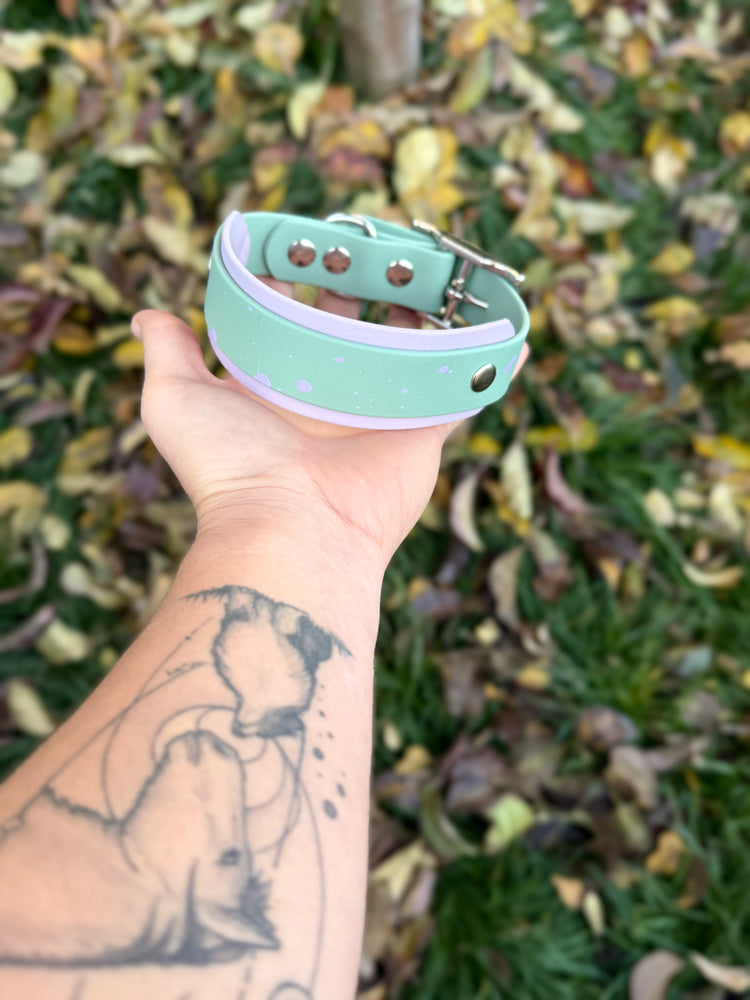 Full Bicolor Biothane Dog collar
