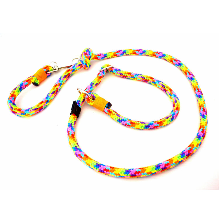 Big Dog Adjustable Loop Leash - custom colors