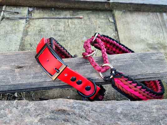 Seven Braid Dog collar
