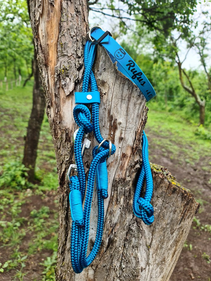 Leash Loop Aqua Dog Loop Leash | Handmade Accessories | Paracord for Pets ...