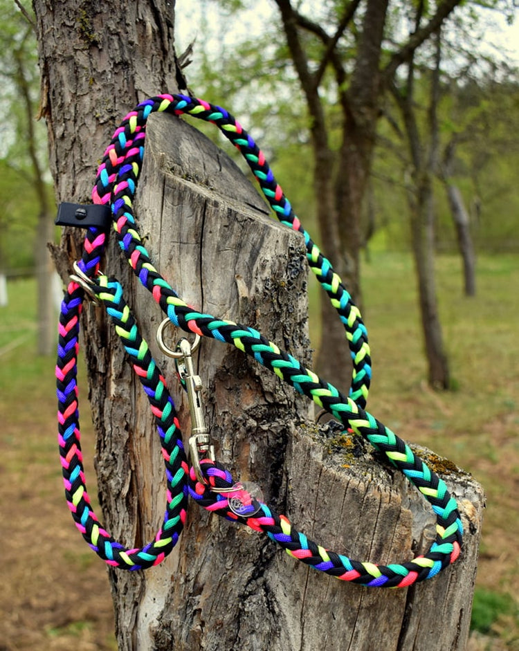 Rainbow Braided Dog Loop Leash