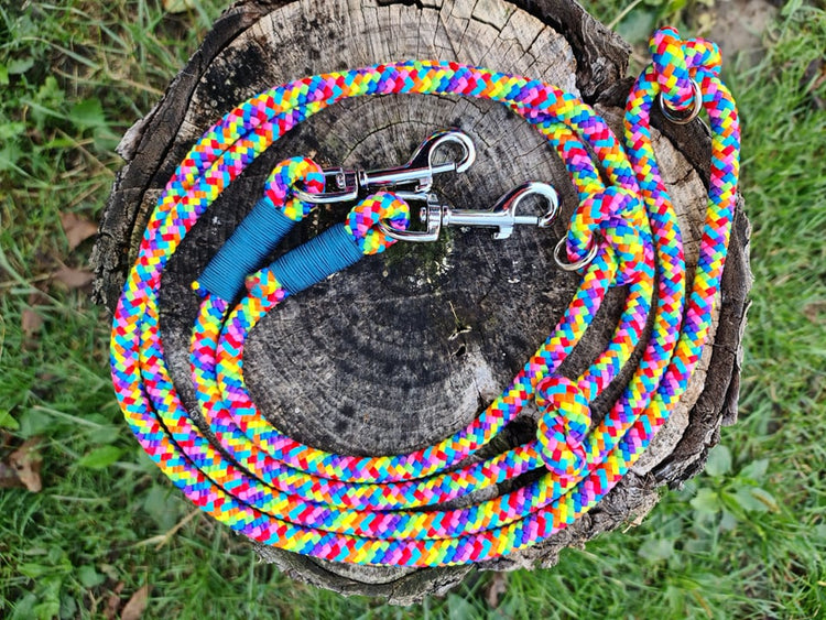 handmade dog leash, dog leash from paracord, colorful rainbow dog leash, dog leash, medium size dog leash, big dog leash, durable dog leash, fashion dog leash