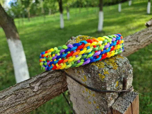 Summer Braid Dog Collar