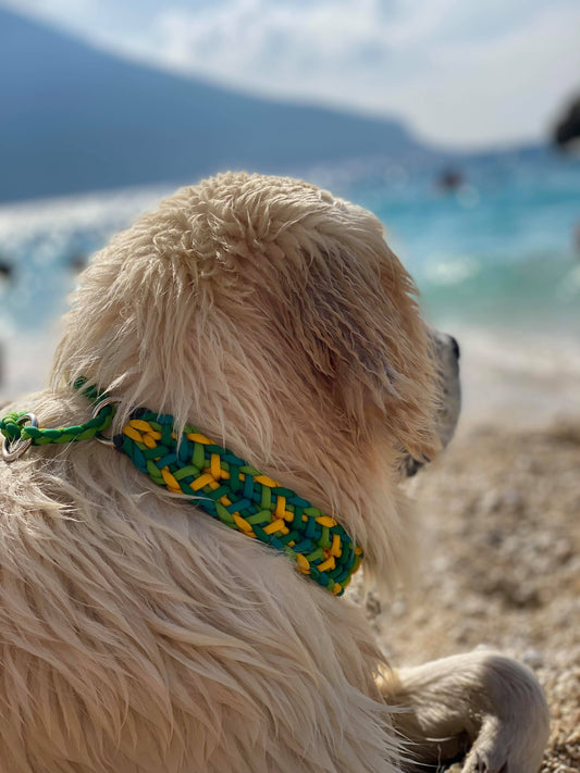 The Floof Dog Collar